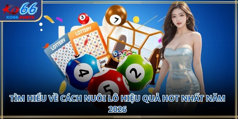 Cách nuôi lô hiệu quả KO66: Chiến lược chơi bền bỉ 2026